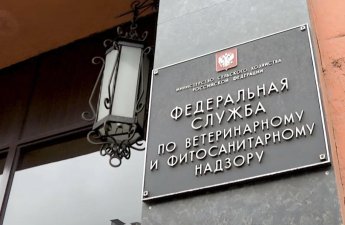 СМИ: Россия начала торговую войну с Арменией