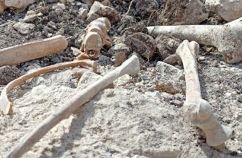 В Агдере обнаружены фрагменты костей, предположительно принадлежащие пропавшей без вести семье