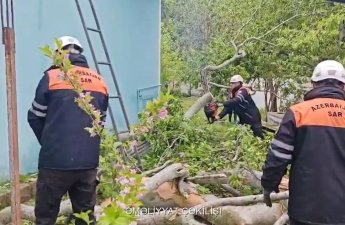 Küçələrə aşan ağaclar və su basan evlər – Havanın yaratdığı fəsadlar - VİDEO