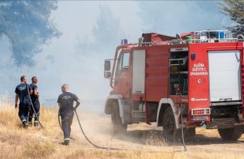 Власти Боснии и Герцеговины запросили помощь минобороны из-за лесных пожаров