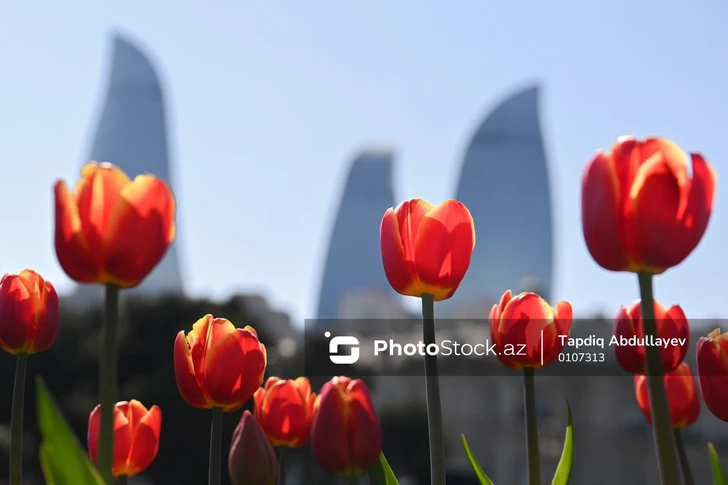 Погода на первое июня