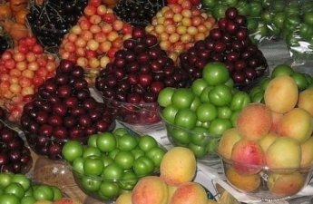 Bazarda alça və gilas görün neçəyə satılır - QİYMƏTLƏR