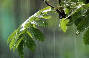 Yağış intensivləşəcək, şimşək çaxacaq, dolu düşəcək - PROQNOZ