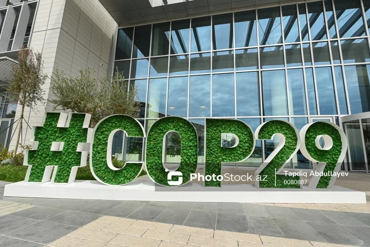 Азербайджан на пути к успешному проведению COP29: интервью с директором РКИК ООН