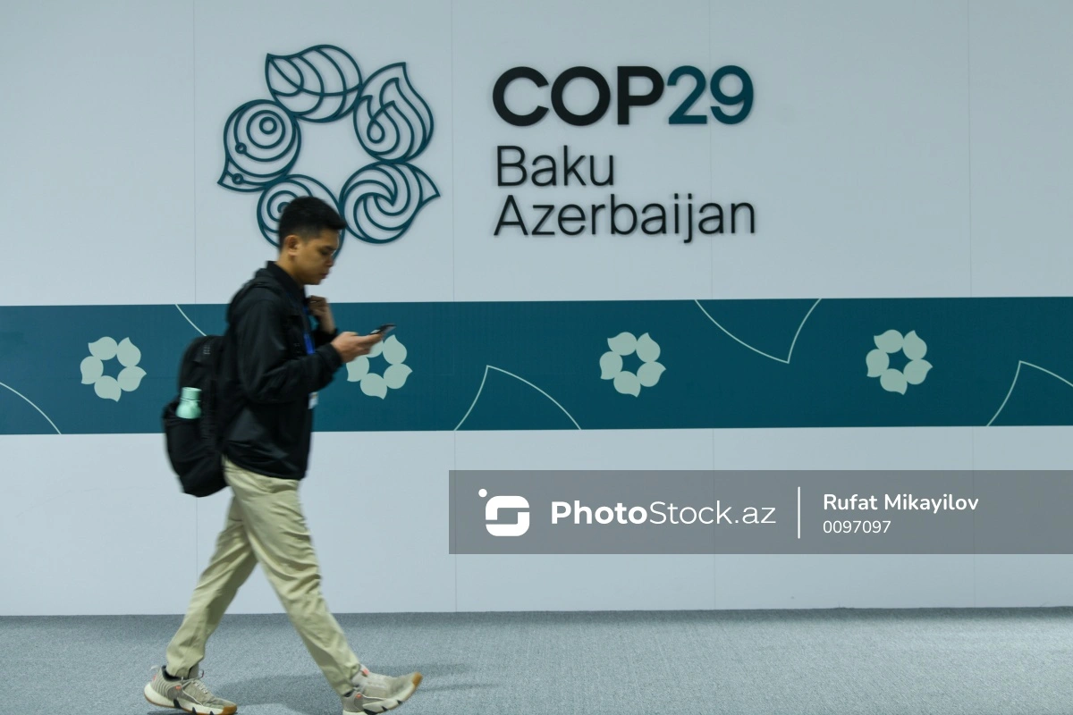 Двенадцатый день COP29: продолжаются мероприятия Голубой зоны-ВИДЕО