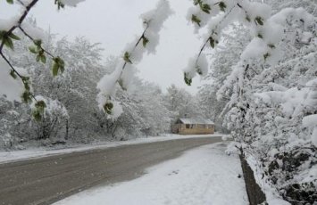 Hava ilə bağlı xəbərdarlıq: Sabahdan...