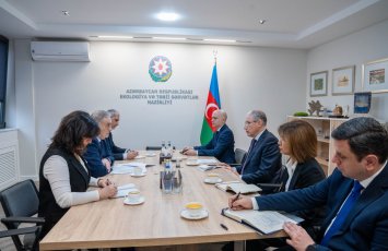 Muxtar Babayev Qara Dəniz İqtisadi Əməkdaşlıq Təşkilatının Baş katibi ilə görüşdü