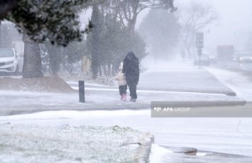 Şaxtalı və qarlı hava şəraiti davam edir - FAKTİKİ HAVA