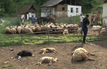 “Bu xalqın qürurunu düşünən neçə məmur, deputat var?.. –“Tövlə”, “Yalavac”, “Lallar” adında da kənd olar?..”