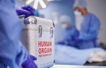 Ölülər həyat xilas edə bilər - orqan transplantasiyası: qorxu, tərəddüd və inanclar – ARAŞDIRMA