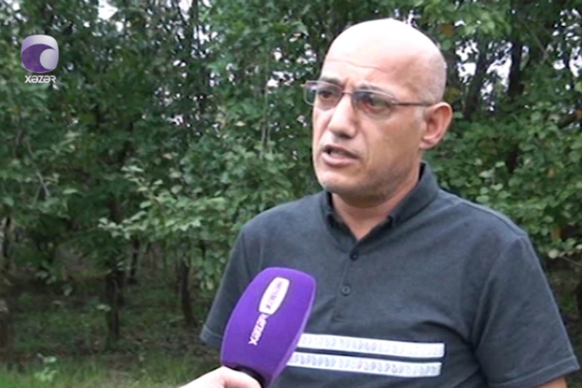 Замдиректора поднял руку на ученика и уборщицу: ПОДРОБНОСТИ инцидента в Лянкяране