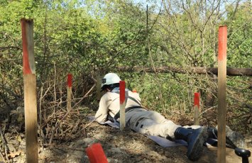 Xocavənddə idarəolunan qəlpələnən 