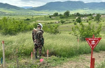 Azad edilən ərazilərdə daha 130 mina tapıldı