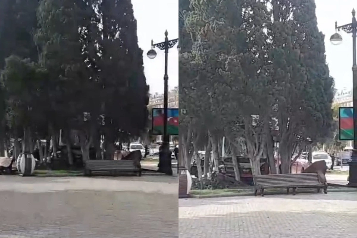 Пассажирский автобус попал в серьёзное ДТП на бульваре в Баку: стало известно о состоянии водителя-ОБНОВЛЕНО