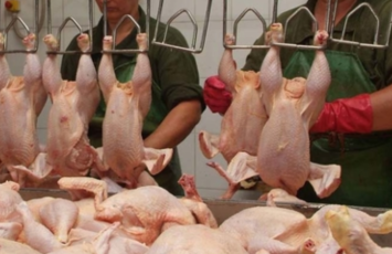 Toyuq ətinə tələbat kəskin artdı: bahalaşma olacaq? - Açıqlama