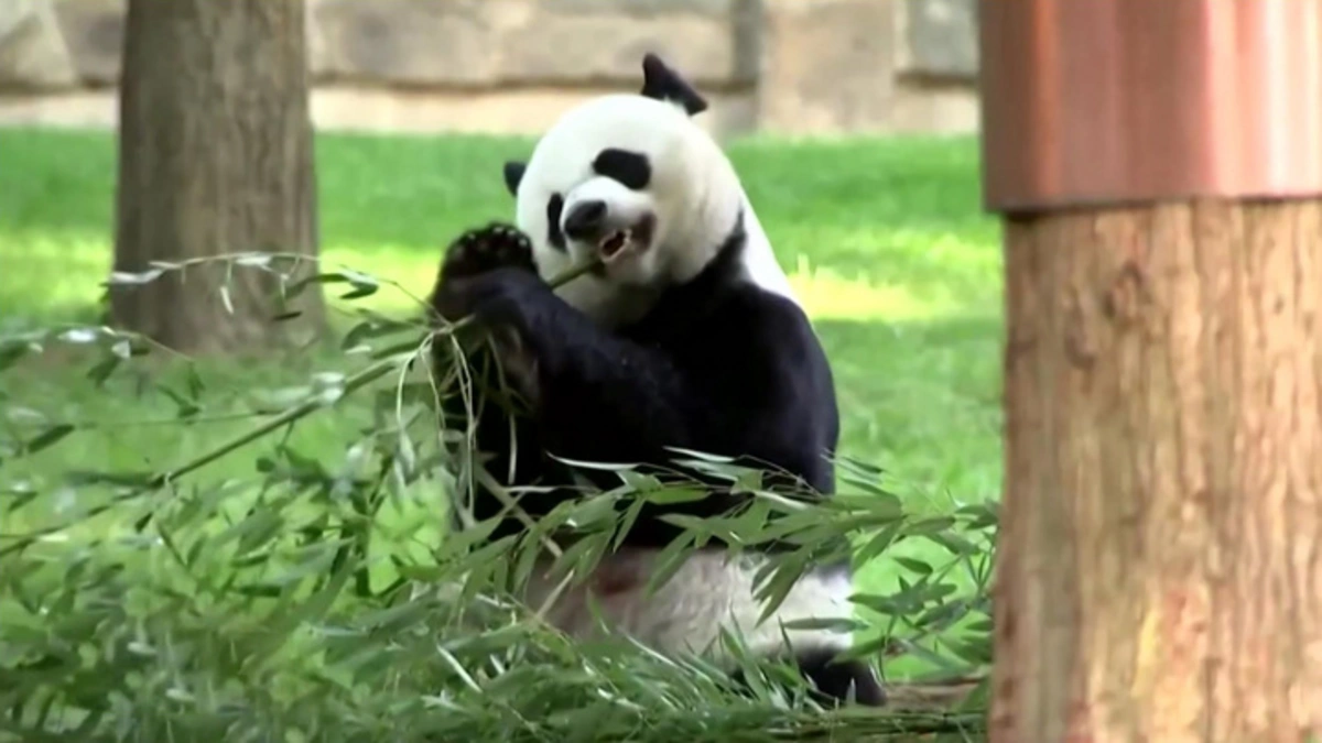 В Финляндии зоопарк продали за один евро