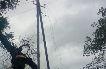 Goranboyda güclü külək bir sıra fəsadlar yaradıb