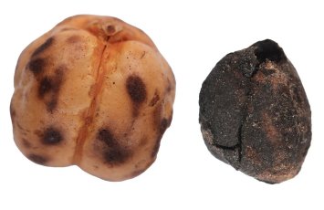 Qədimdən bu günə qədər gələn Türkiyə çörək irsi - FOTOLAR