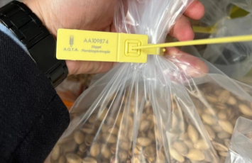 Türkiyədən Azərbaycana idxal olunan Antep fıstığında uyğunsuzluq aşkarlanıb