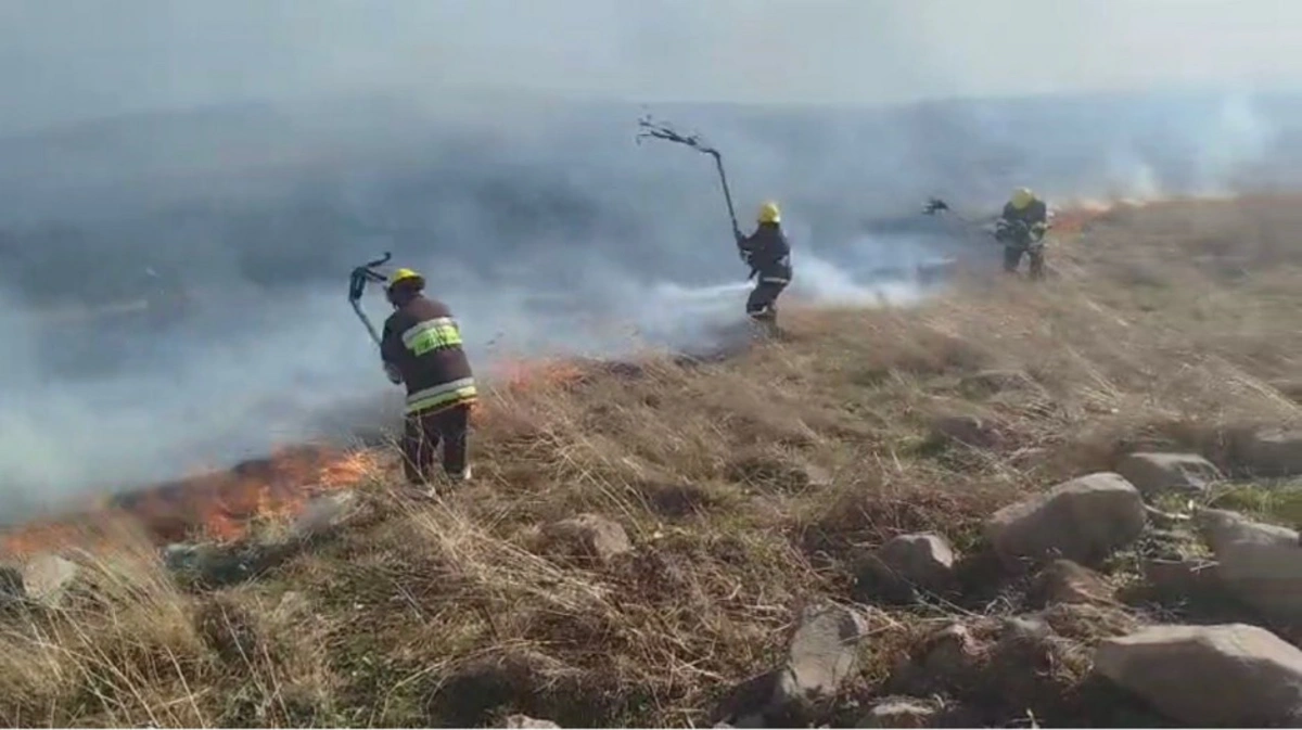 В Гедабейском районе пожар в горной местности: на помощь пришли военнослужащие