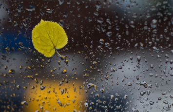 Bir sıra ərazilərə yağış yağıb - FAKTİKİ HAVA