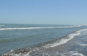 Xəzər dənizində suyun azalmasının əsas səbəbi Volqa çayıdır - EKSPERT