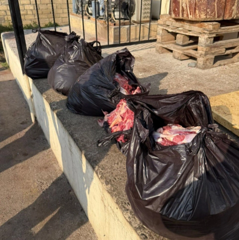 Bərdədə istehlaka yararsız at ətinin satışının qarşısı alındı - FOTO