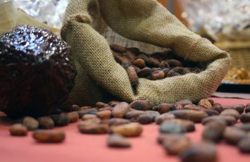 Какао-бобы подешевели до минимума с февраля 2024 года