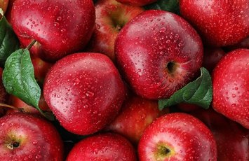 Azərbaycanın alma ixracı 14 ilin rekordunu qırdı: Yeni bazarlar, artan tələbat və fermerlər üçün dəstək