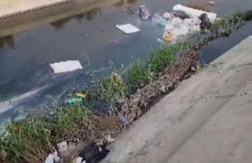 Saray bağlarında antisanitar vəziyyət – Samur-Abşeron kanalını üfunət bürüyüb – VİDEO