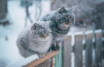 В Азербайджане наступила зима