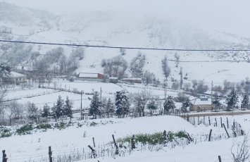 Cəlilabadın dağlıq kəndlərinə qar yağıb