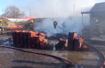 Zaqatalada xurma sexi yandı - FOTOLAR