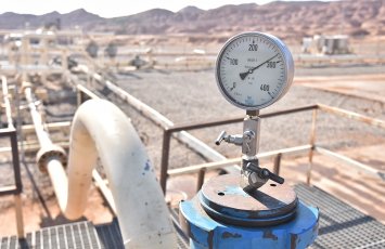 Добыча газа в Европе в 2025 году снижается девятый месяц подряд - GECF