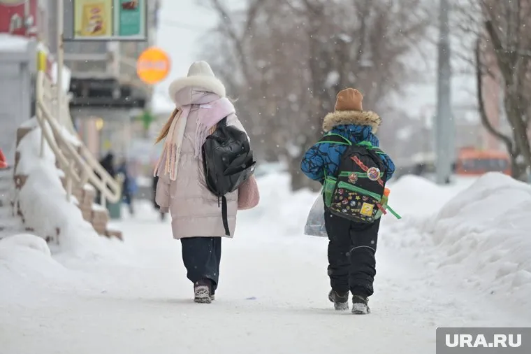 В 15 районах Румынии продлили каникулы из-за зимней непогоды
