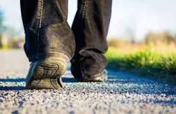 МВД Азербайджана: За минувшие сутки найдены пять пропавших без вести