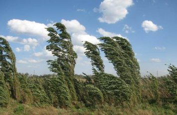 В Баку и на Абшероне ожидается сильный ветер