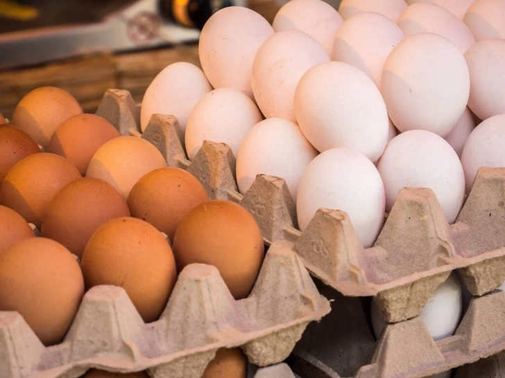 Коричневые или белые: есть ли разница в пользе яиц?