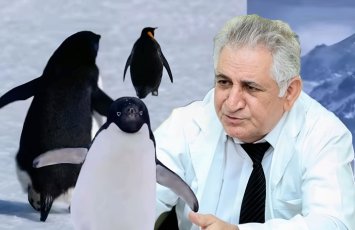 Zooloq məşhur “nihilist pinqvin”dən danışdı: “Bunu o vaxt müşahidə edə bilirsən ki...” - FOTO+ÖZƏL