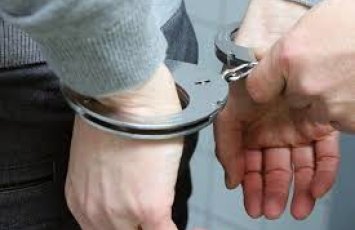 В Австрии задержан мужчина за попытку угнать поезд