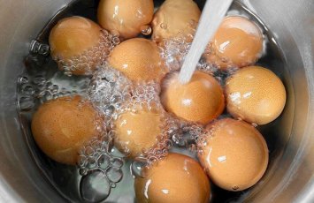 Gündə nə qədər protein qəbul etməliyik?