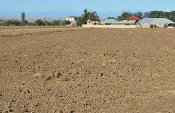 Bələdiyyələrin qanunsuz torpaq sahələrini mülkiyyətə verməsi halları müəyyənləşib