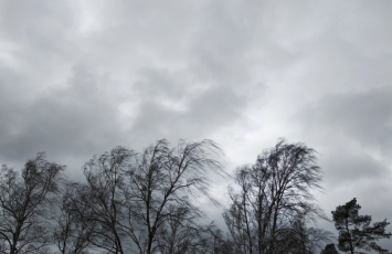 Sabah Azərbaycanda külək güclənəcək - XƏBƏRDARLIQ