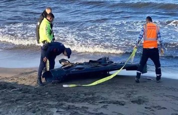 Минобороны Турции об обнаруженном беспилотнике