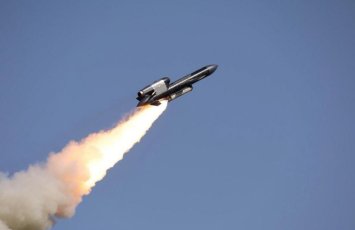 Минобороны России впервые подтвердило удары украинскими ракетами «Фламинго»