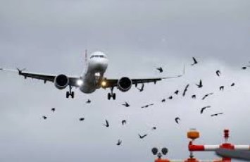 Италия одобрила пролет самолета российской делегации на пути в Женеву