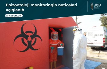 Azərbaycanda quş qripi xəstəliyinə rast gəlinib? - RƏSMİ AÇIQLAMA