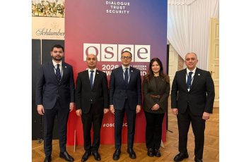 TÜRKPA müşahidəçi statusu almaq üçün sənədləri yaxın günlərdə ATƏT PA-ya göndərəcək - FOTO