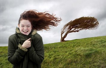 Синоптики сделали предупреждение в связи с ветреной погодой