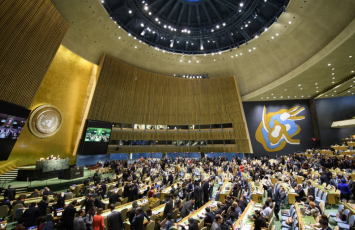 BMT Baş Assambleyası Ukraynanın dayanıqlı sülh təşəbbüsünü dəstəkləyib